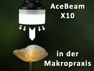 AceBeam X10 - Makropraxis mit Diffusor