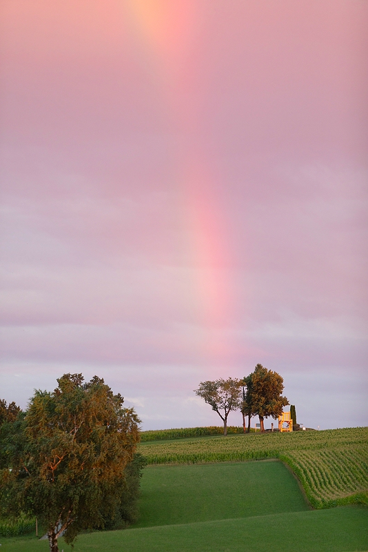 Stummel-Regenbogen-2829m-tf.jpg