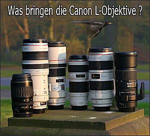 wie gut sind die Canon L-Objektive ? Praxistest und Vergleich grosser  Brennweiten zu günstigen Nicht-L-Objektiven