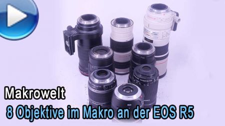 8 Objektive an einer EOS R5 - Die Makroreferenz mit Nahlinse und -  Traumflieger.de