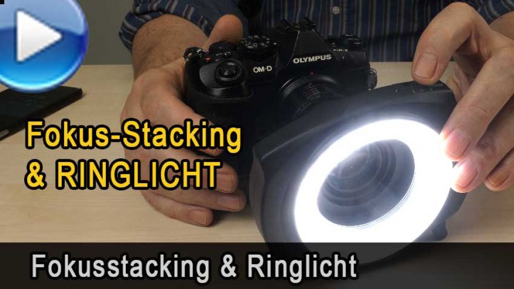 Fokusstacking mit Ringlicht - Makrofotografie - Traumflieger.de