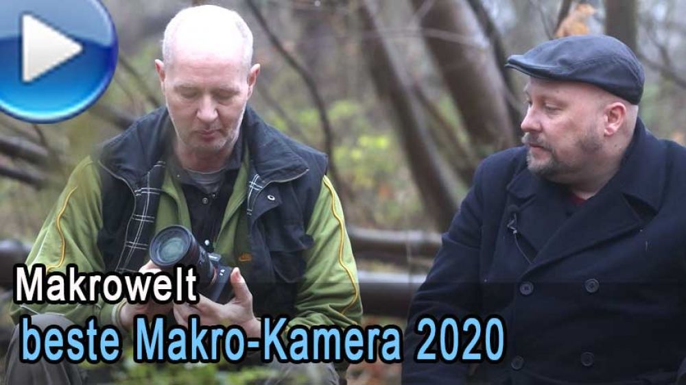 Die beste Makro-Kamera 2020 - Traumflieger.de