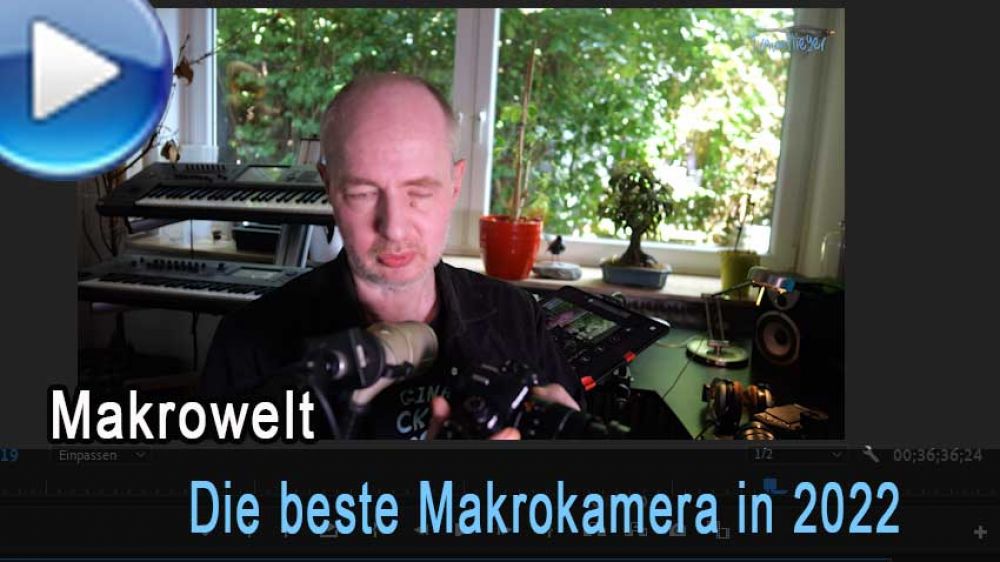 Die beste Makro-Kamera im Jahre 2022 - Traumflieger.de