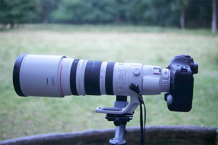 Canon 200-400mm/4L IS USM im Test - Traumflieger.de